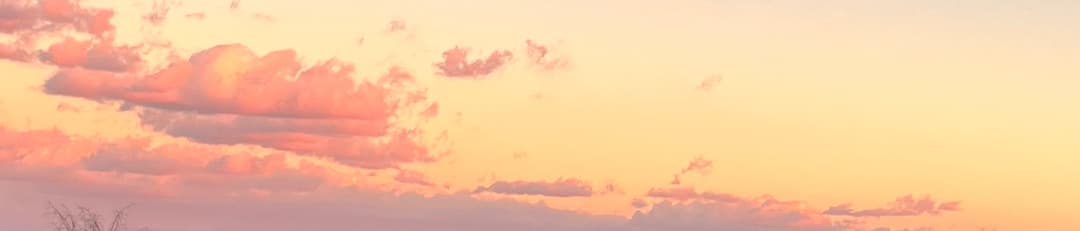 kendall  wade cover banner